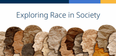 Exploring Race in Society Exploring Race in Society Button